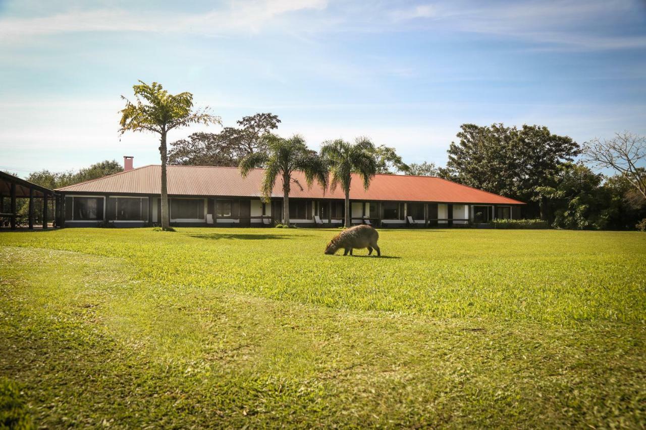 Aguapé Lodge Colonia Carlos Pellegrini  Exterior foto
